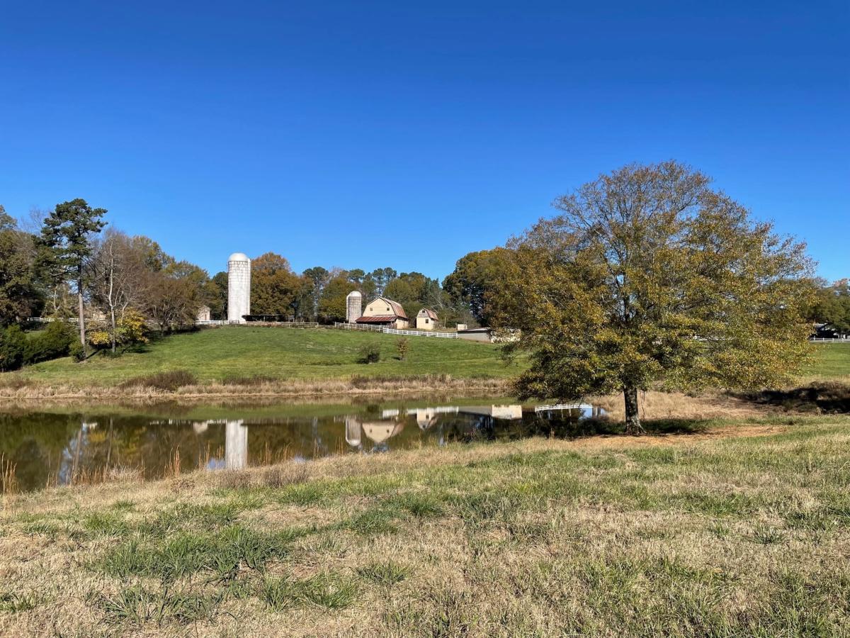 Featured image for Edgewater Farm Park