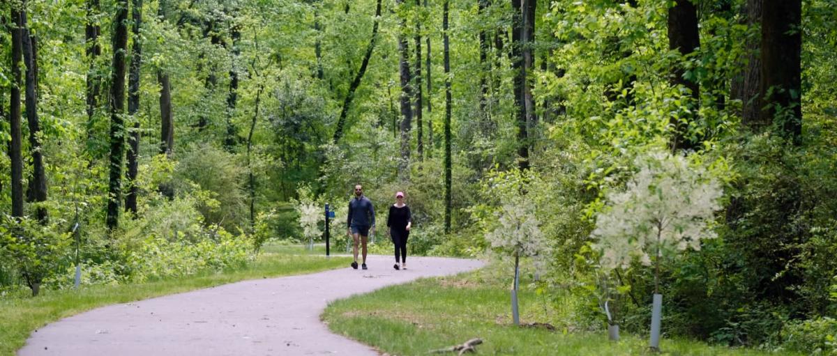 Featured image for Explore With Us: Greenways, Streams and Park Outreach 